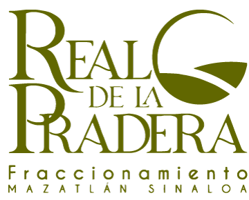 logo-desarrollo