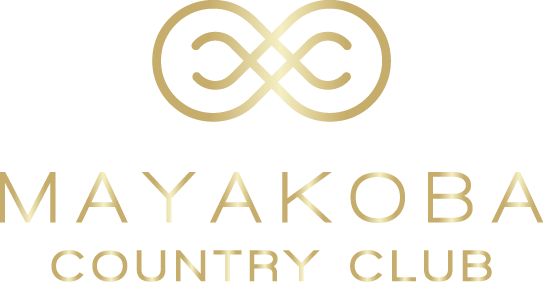 logo-desarrollo