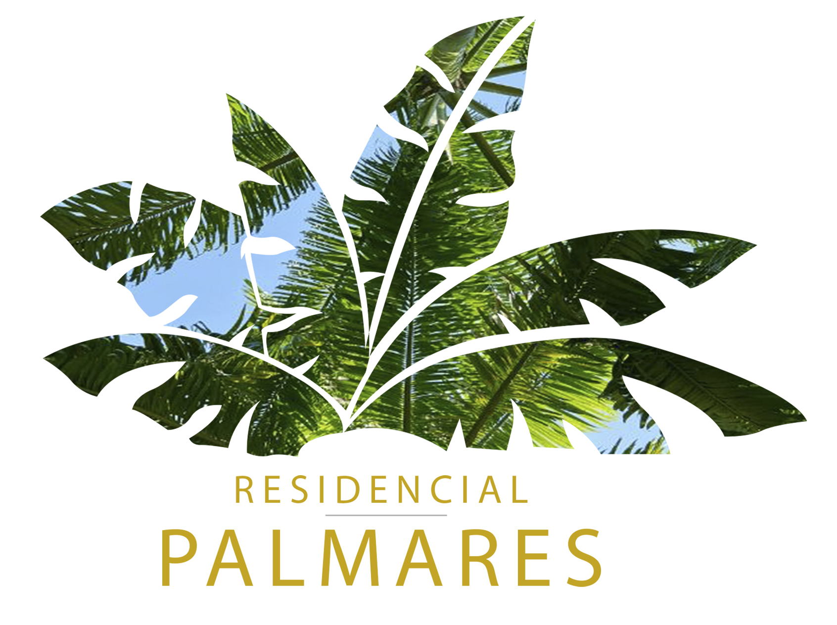 logo-desarrollo
